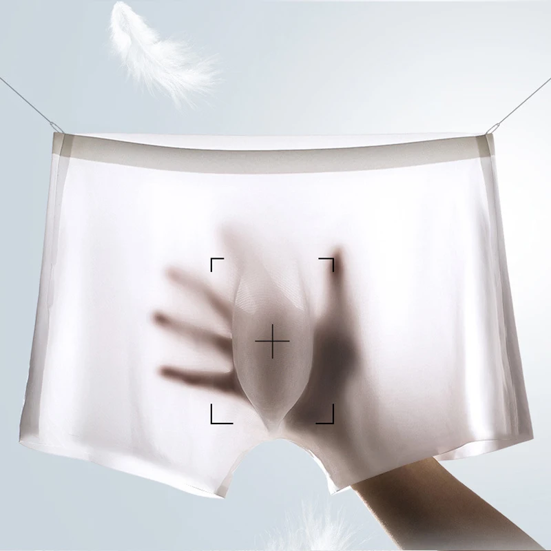 10 Pcs/Lot Men's Summer Ice Si - Multi Pack Underwear recension och pris