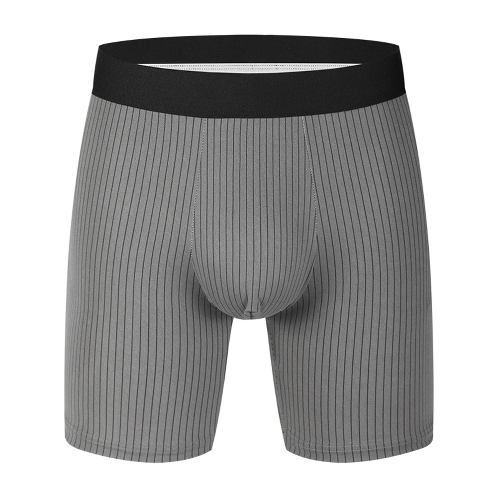 Stripes Men Long Leg Boxers Br - Long Leg Trunk Men recension och pris