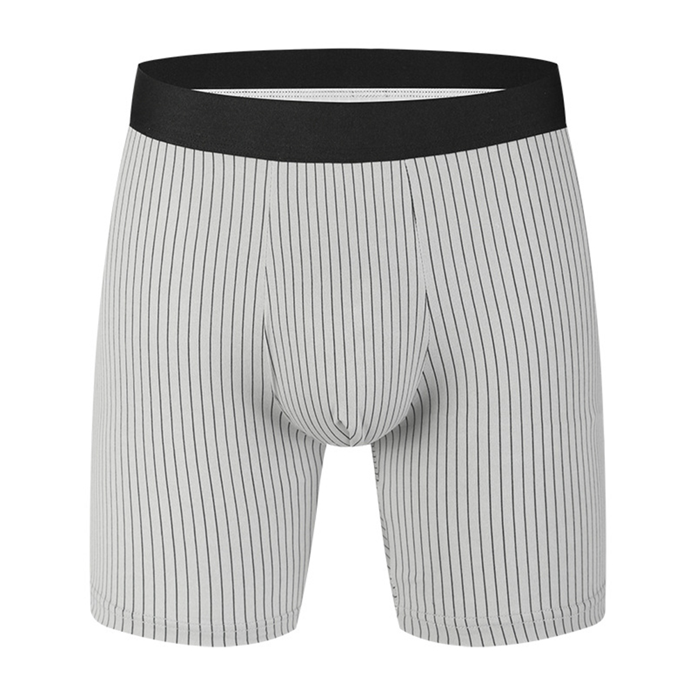 Stripes Men Long Leg Boxers Br - Long Leg Trunk Men recension och pris